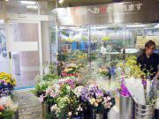 花菊/店1